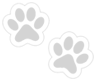 paw-icon